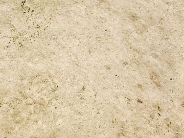 Mud ground texture (ID:ffabf9740)