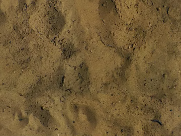 Mud texture (ID:ffaag67336)