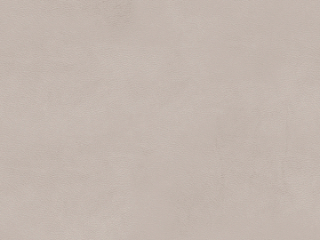 fine grain leather texture (ID:ffaeg94806)