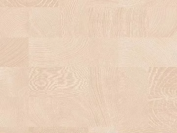 annual ring wood grain texture (ID:ffach245874)