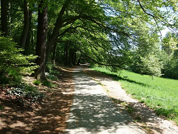 Wild Scenery texture (ID:ffaeg91943)