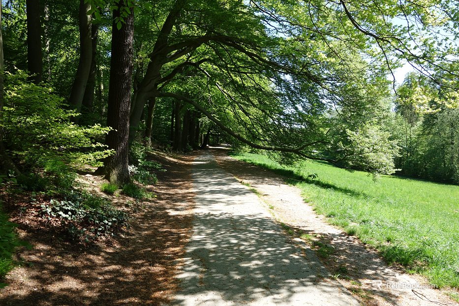 Wild Scenery texture