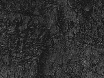 Black and White Bump texture (ID:ffaag85230)