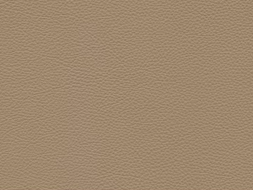 Coarse-grain leather texture (ID:ffach898914)