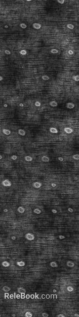 wood grain seamless texture