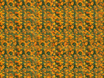 plant pattern texture (ID:ffaff8126)
