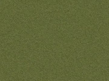 Turf texture (ID:ffacg21646)