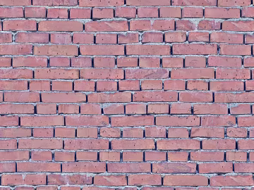 Wall Tile Texture texture (ID:ffach878284)