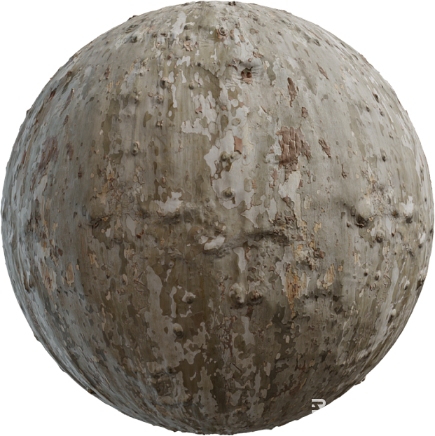 Bark PBR texture
