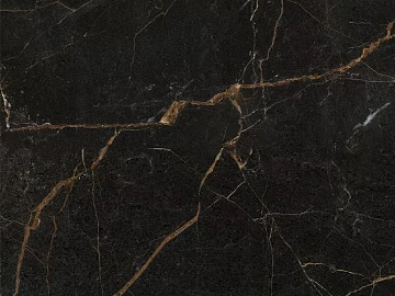 Mesh Marble Lauren Black Gold Marble texture (ID:ffaeh269467)