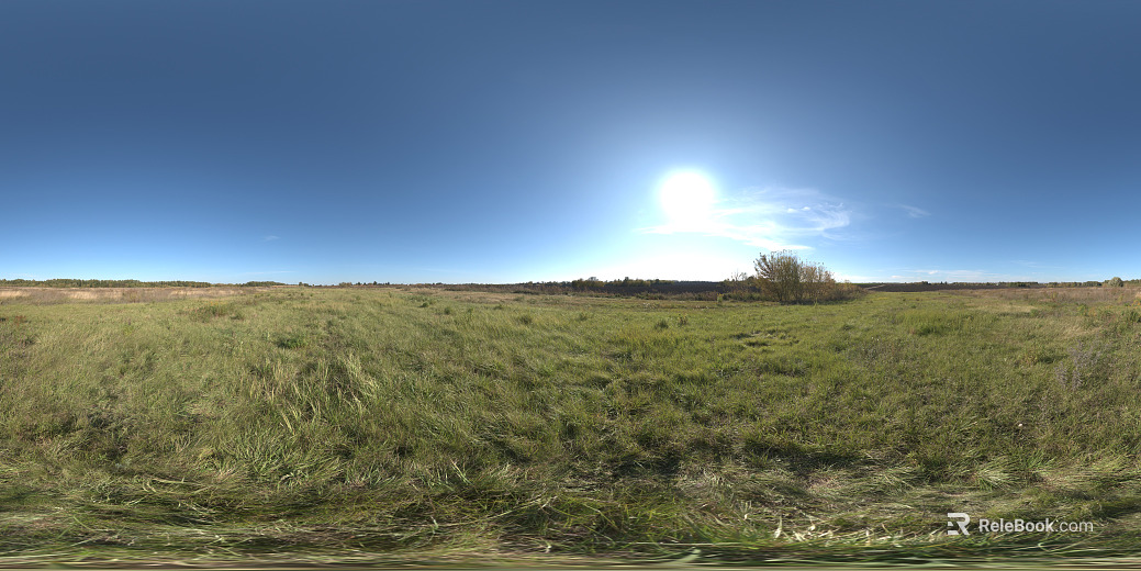 HDR outdoor autumn sky grass texture
