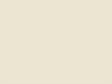 Beige latex paint for interior walls texture (ID:ffaeh312859)