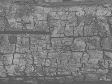 carbon burning wood texture (ID:ffach421361)