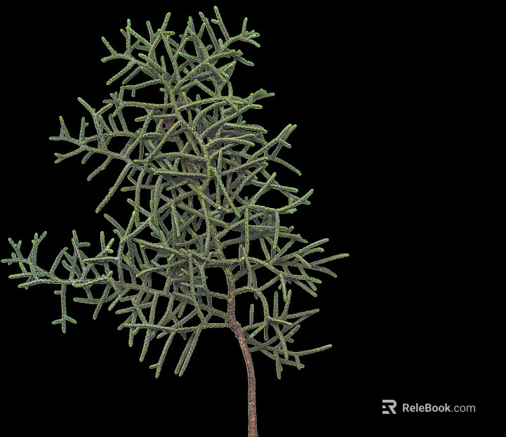 Plants texture