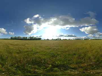 Dusk Lawn Forest HDR texture (ID:ffabg60431)