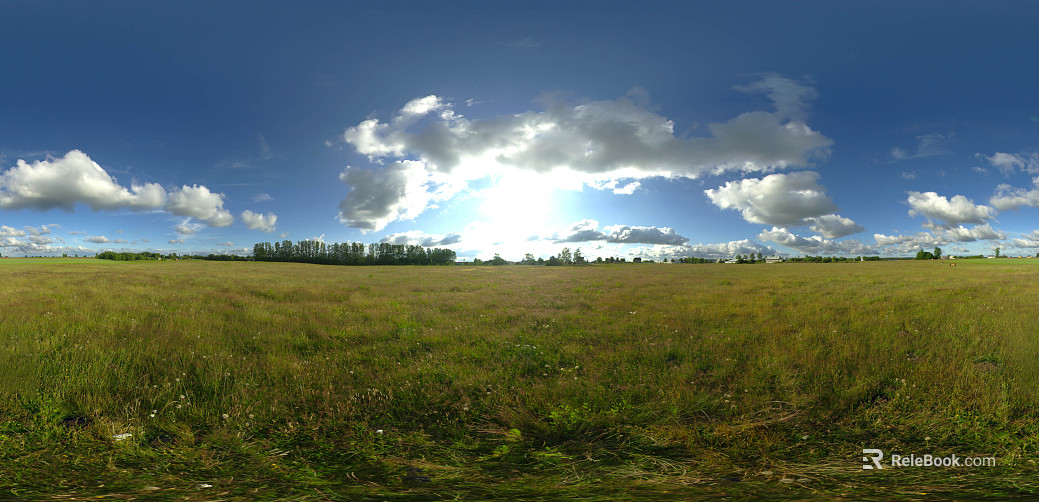Dusk Lawn Forest HDR texture