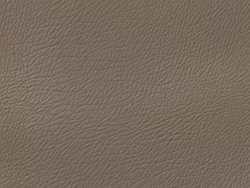 Leather Crocodile Leather Leather Textured Leather Animal Leather 3d model