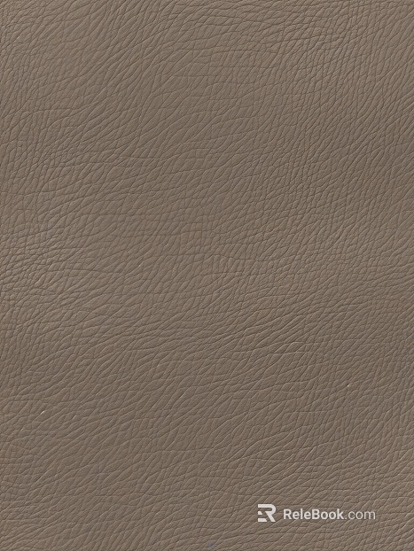 Leather Crocodile Leather Leather Textured Leather Animal Leather texture