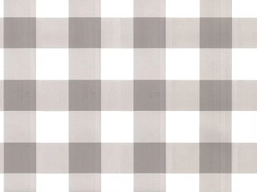 Plaid 3d model