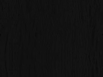 Black and white wood grain texture (ID:ffaeg99177)