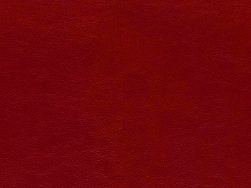 fine grain leather texture (ID:ffajg35557)