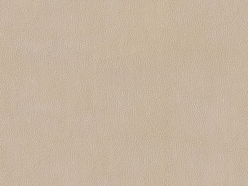 fine grain leather texture (ID:ffajg40095)