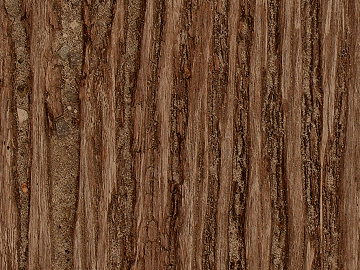 bark texture (ID:ffagg98610)