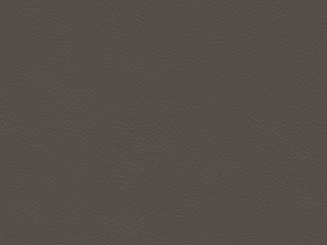 fine grain leather texture (ID:ffaag23652)
