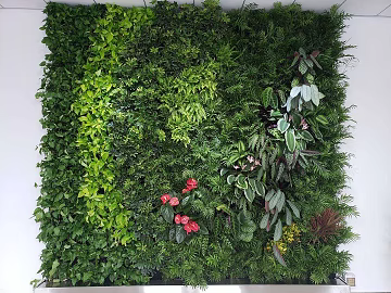 Plant wall texture (ID:ffajg64859)