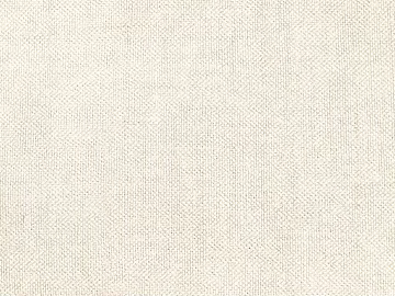 Linen weave texture (ID:ffach979104)