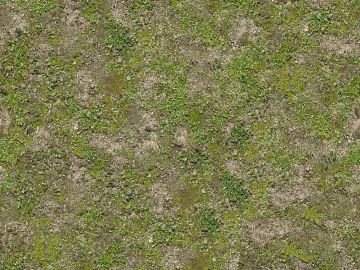 Turf ground texture (ID:ffabf3321)