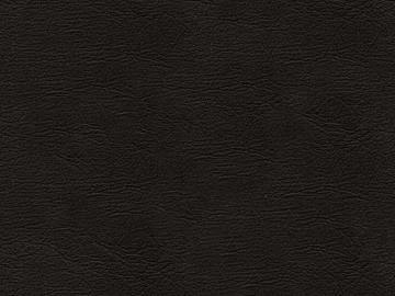 Coarse-grain leather texture (ID:ffacg82752)