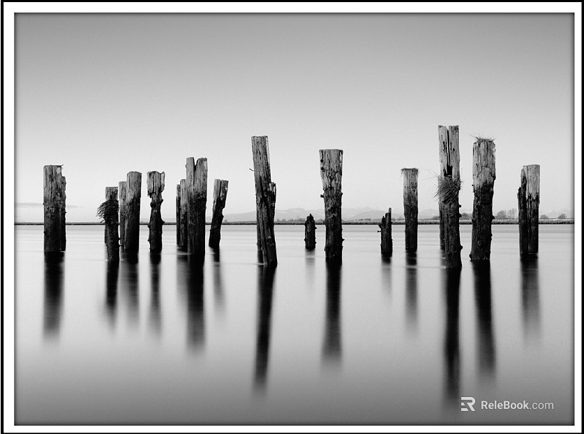 black and white painting texture