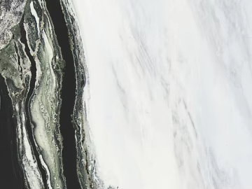 marble panda white texture (ID:ffajh670477)