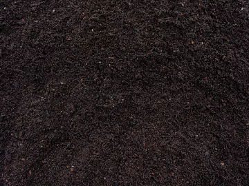 Mud texture (ID:ffacf5933)