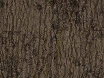 bark texture (ID:ffaag45880)
