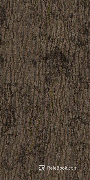 bark texture