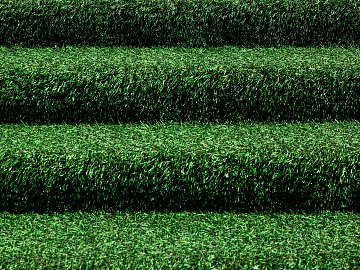 Plants texture (ID:ffabg87297)
