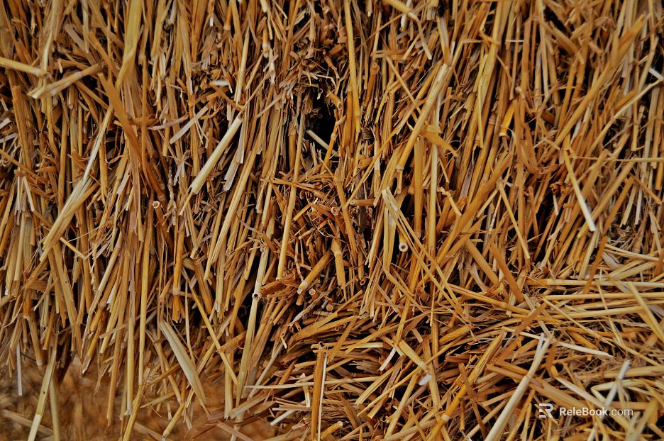 Thatch texture
