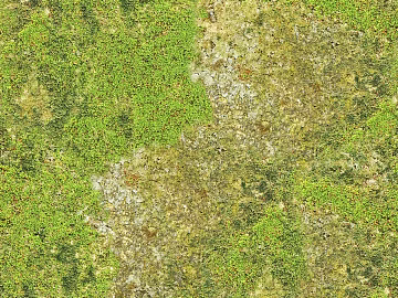 Grassland texture (ID:ffach154365)
