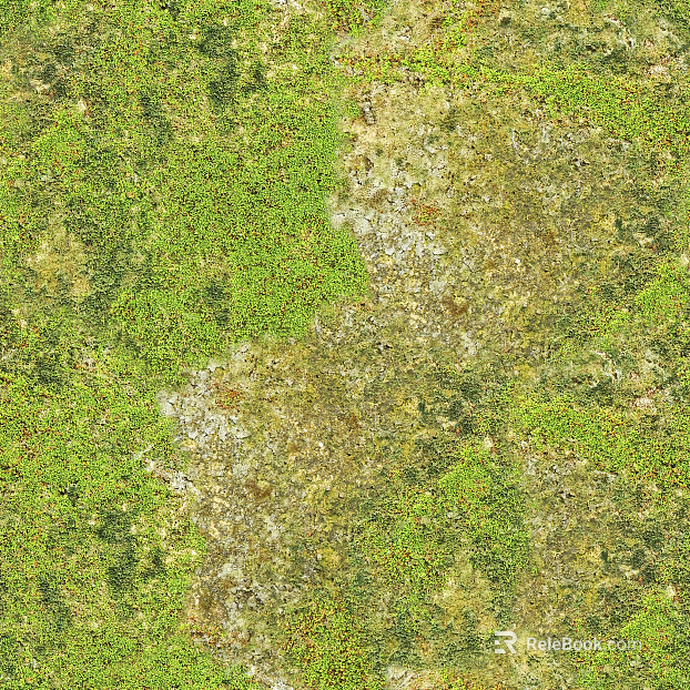 Grassland texture
