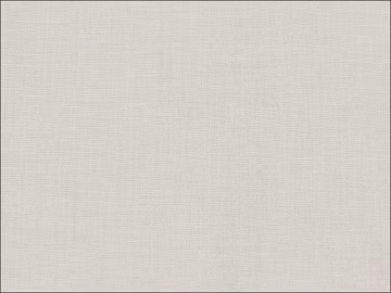 plain cloth texture (ID:ffacg16588)
