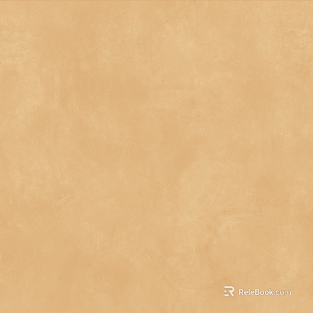 Paint texture