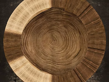 annual rings texture (ID:ffhde901)