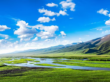 Wild Scenery texture (ID:ffaeg17306)