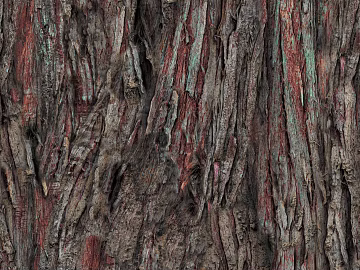 bark texture (ID:ffaag71880)