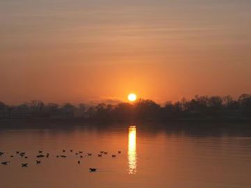 Wild Scenery texture (ID:ffajh167477)