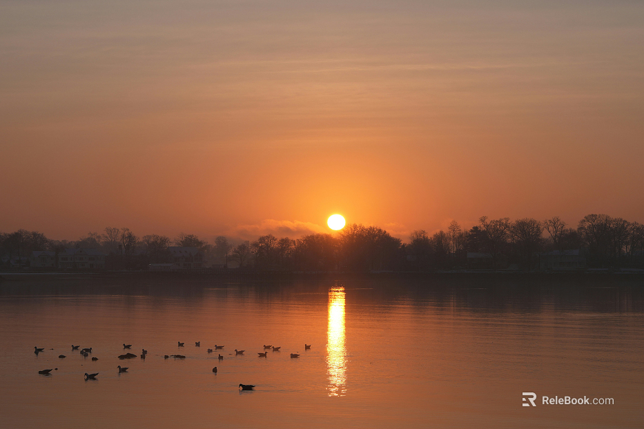 Wild Scenery texture