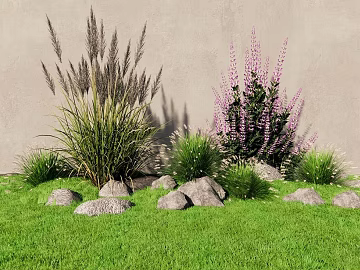 Green turf courtyard landscaping plants texture (ID:ffaeh699236)