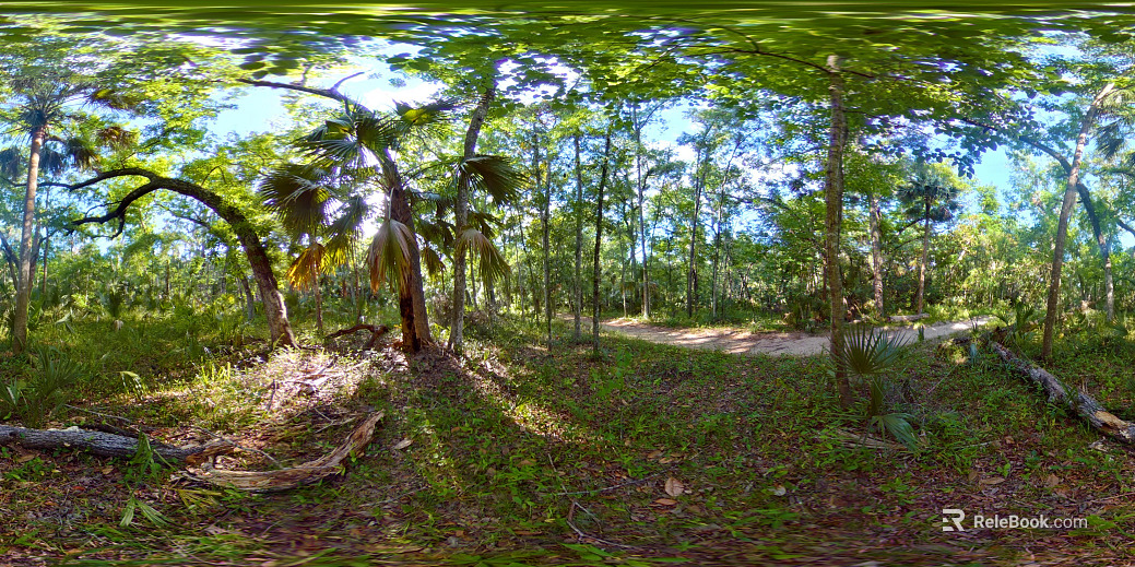 Outdoor HDR texture